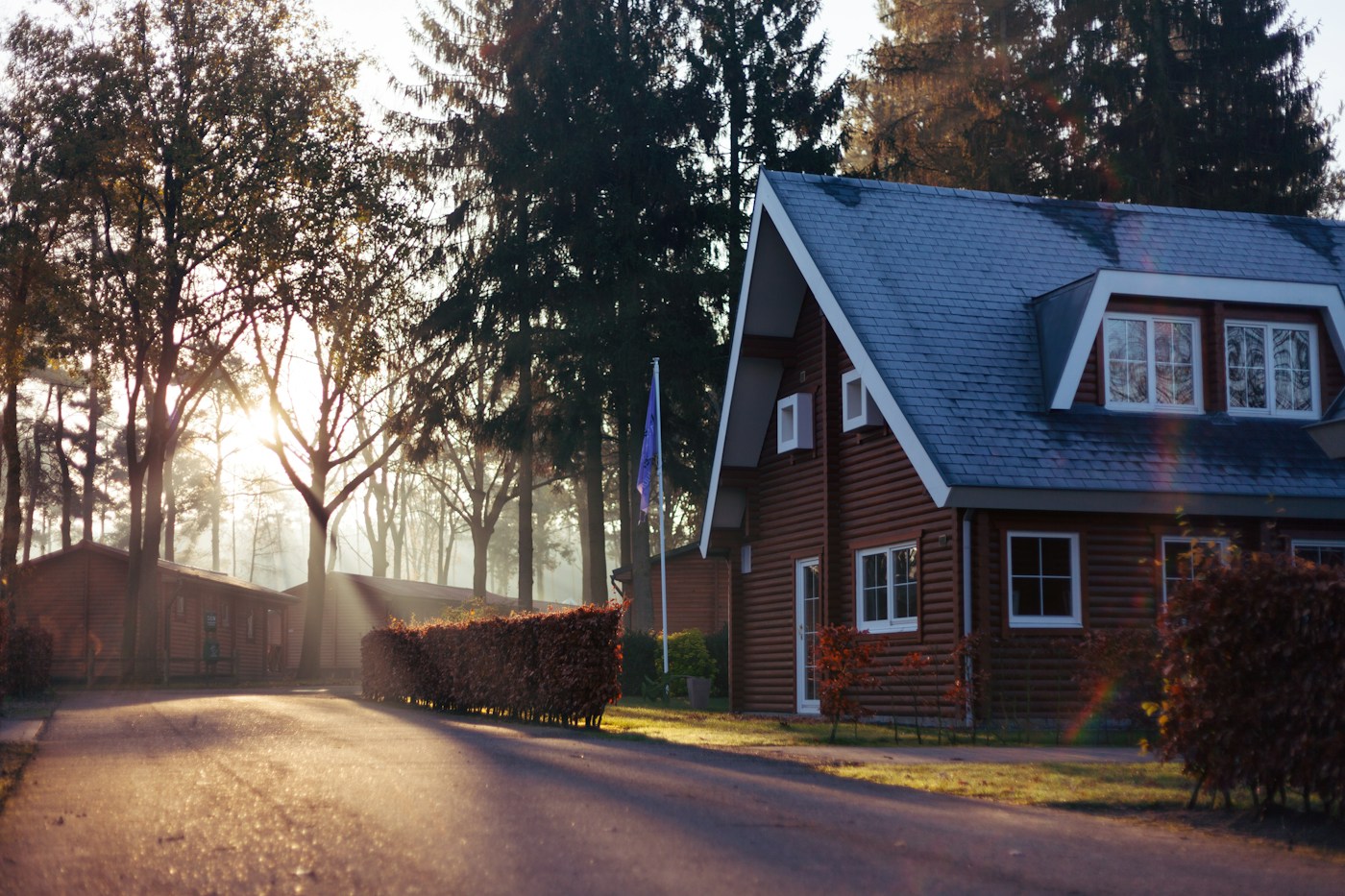 Residential neighborhood with established homes and mature landscaping